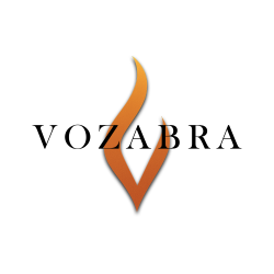 Vozabra.pl | Bio kominki premium